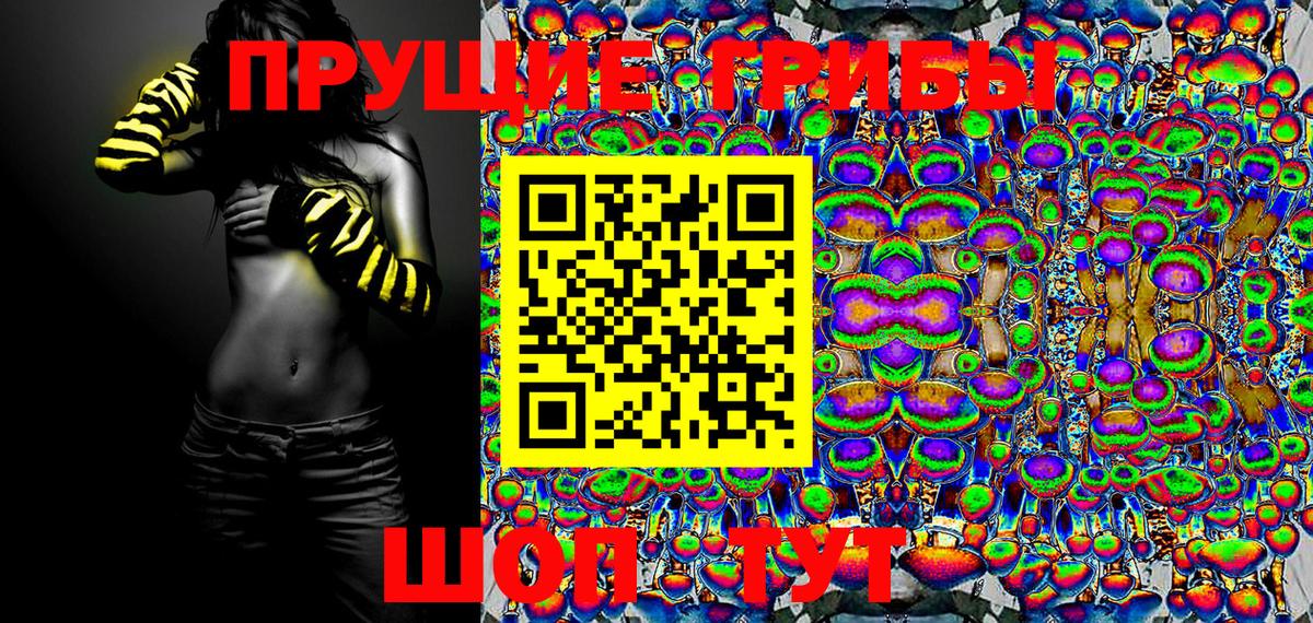 Губкинский  Галлюциногенные грибы MAGIC MUSHROOMS  Вход с VPN  Псилоцибиновые грибы Cubensis 